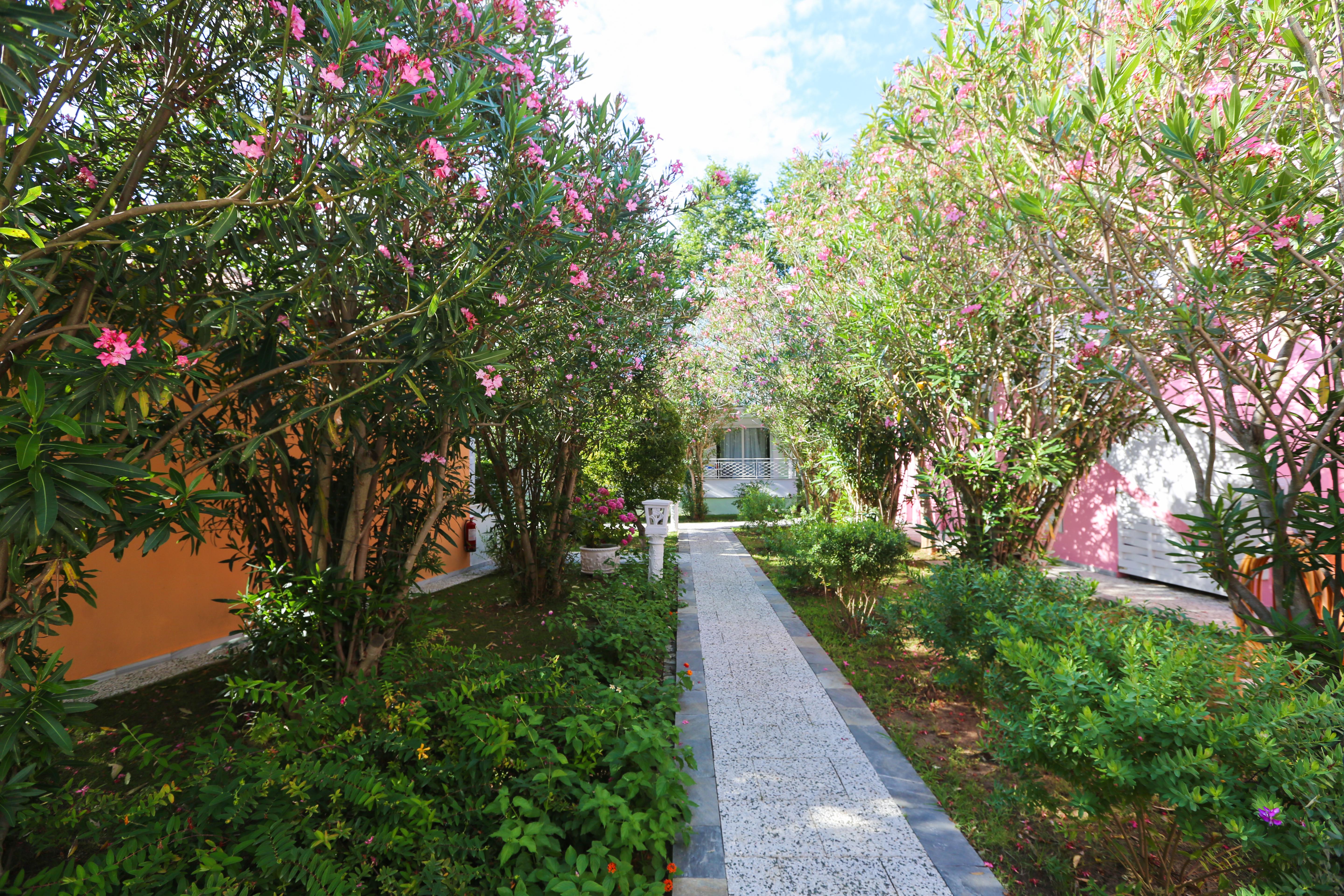 Mandraki Village Boutique Hotel Koukounaries Luaran gambar